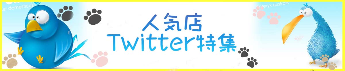 ツイッター